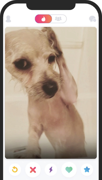iphonedog